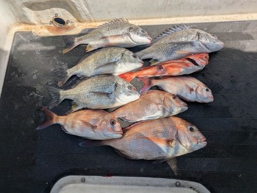 大阪湾