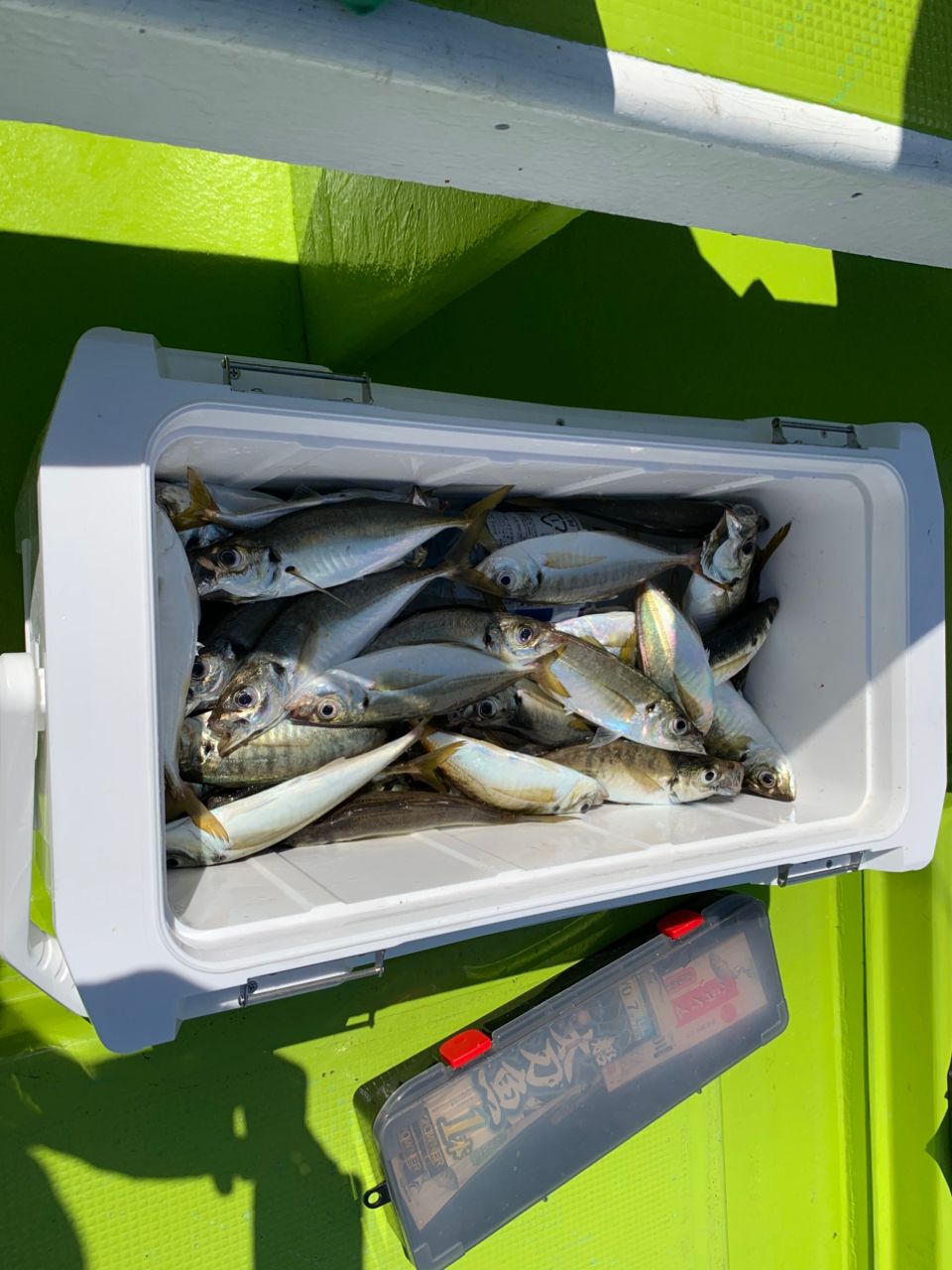 村本海事さんの釣果 3枚目の画像