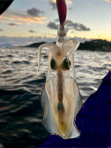 柿崎中央海水浴場