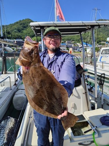 ヒラメの釣果