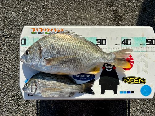 久慈川河口