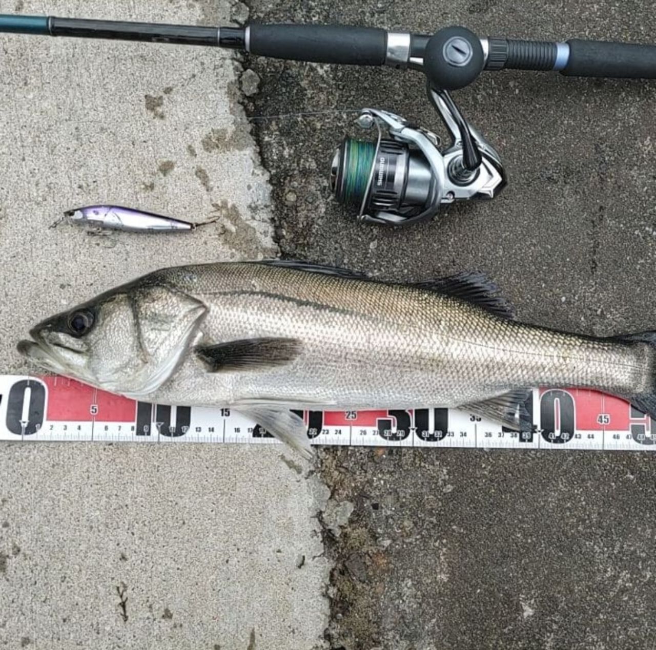 SHIMANO 21ナスキー 4000XGの最安値・インプレ・釣果 | 本音の