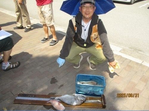 ヘダイの釣果