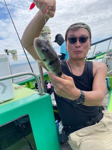 ショウサイフグの釣果