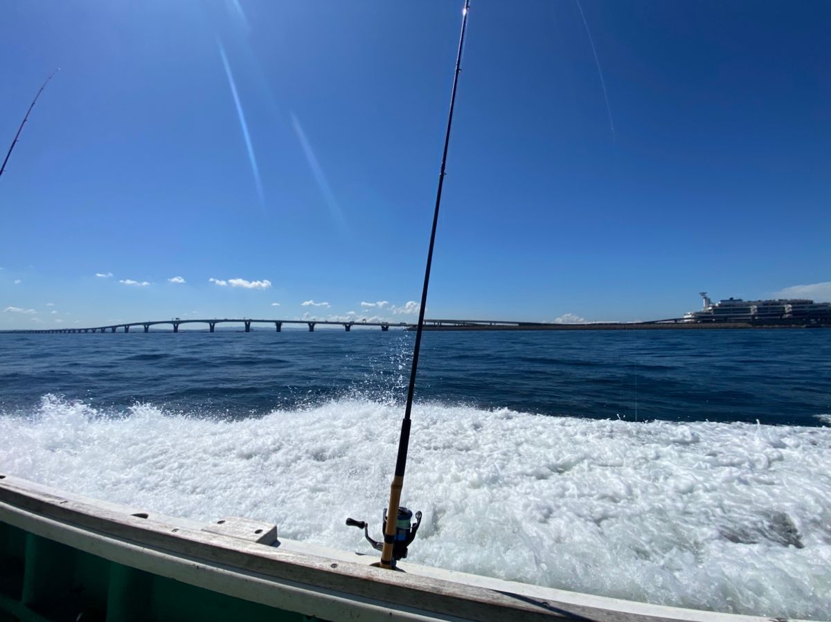 Ko-yukiさんの釣果 2枚目の画像