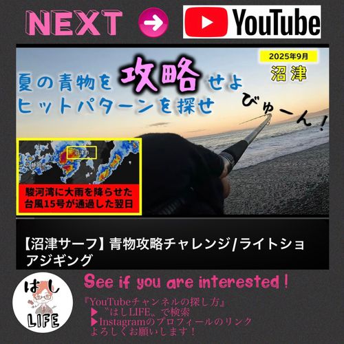 ソウダガツオの釣果