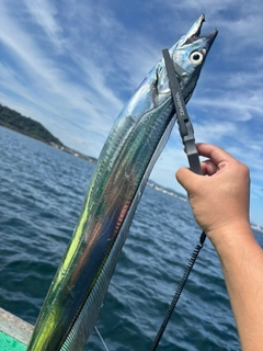 タチウオの釣果
