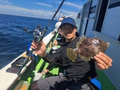 カワハギの釣果