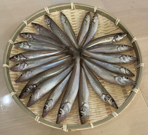 高洲海浜公園