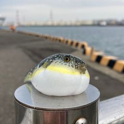 フグ