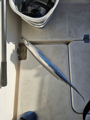 第二海堡