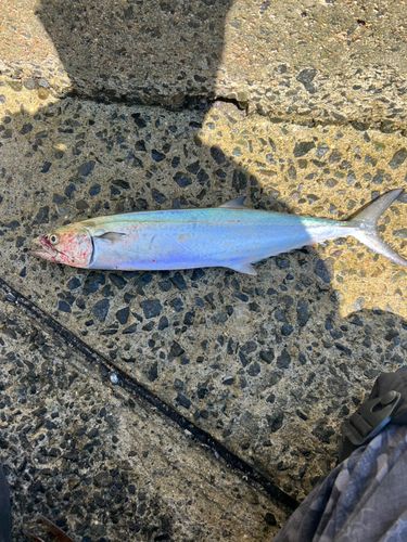 狩留家海浜公園