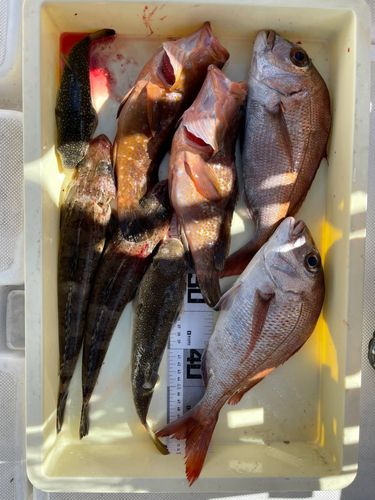 しまなみ海道