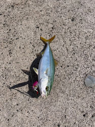 大浜地区ふれあい広場