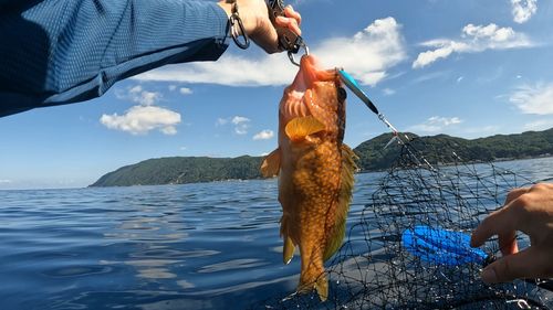 越前海岸