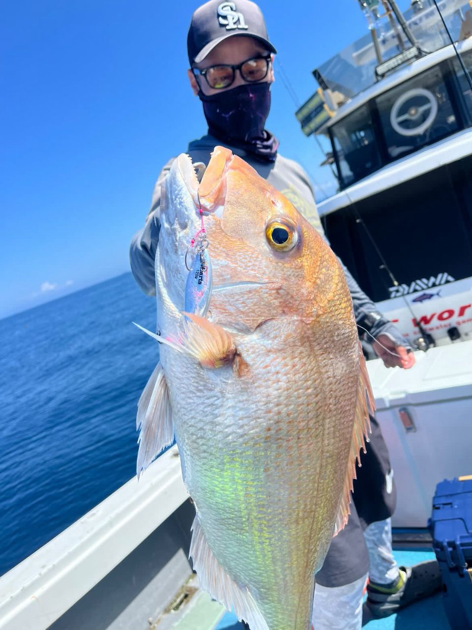 t.c.youheiさんの釣果 1枚目の画像