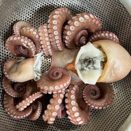 タコ