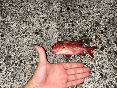 一切漁港