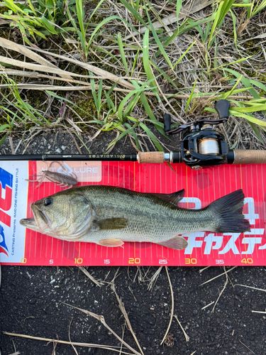 秋田県南部