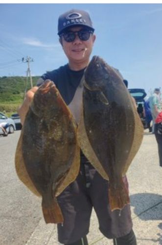 ヒラメの釣果