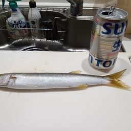 カマス