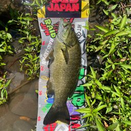 スモールマウスバス