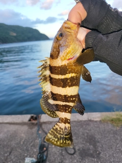 釣果
