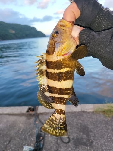 釣果