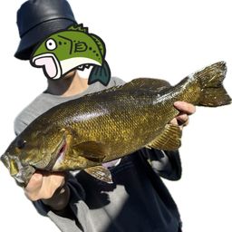 スモールマウスバス