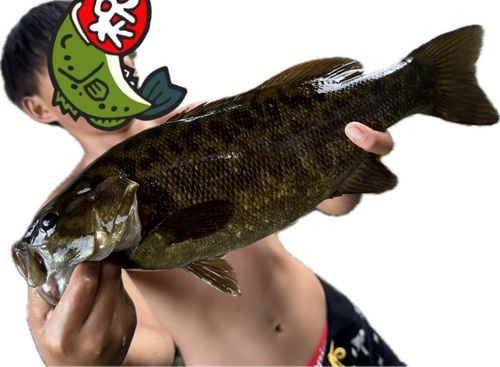 庄内川