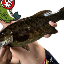 スモールマウスバス