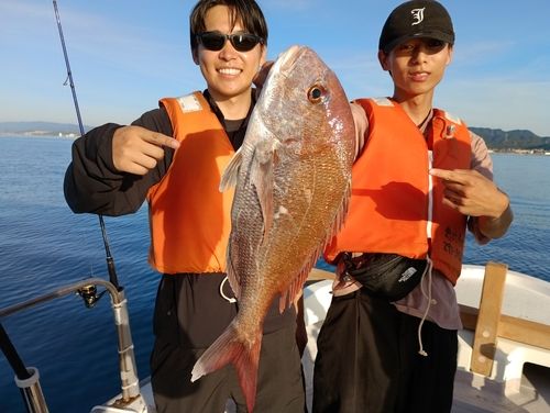 マダイの釣果