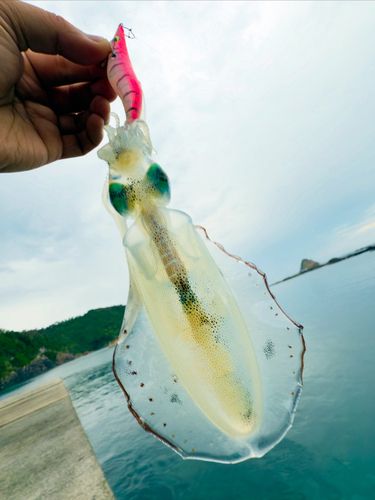 島後島
