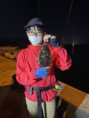 ソゲの釣果
