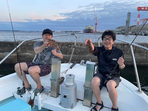 カサゴの釣果