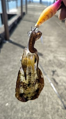 馬下