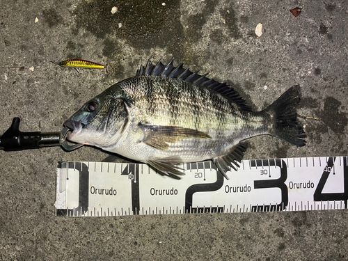 表浜名湖