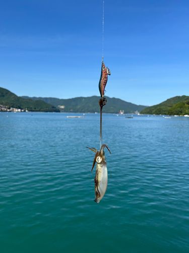 賀田湾