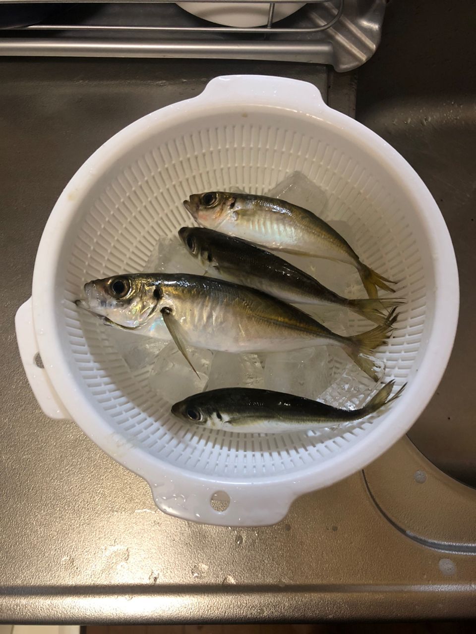 アジ