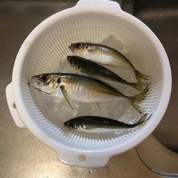 アジ