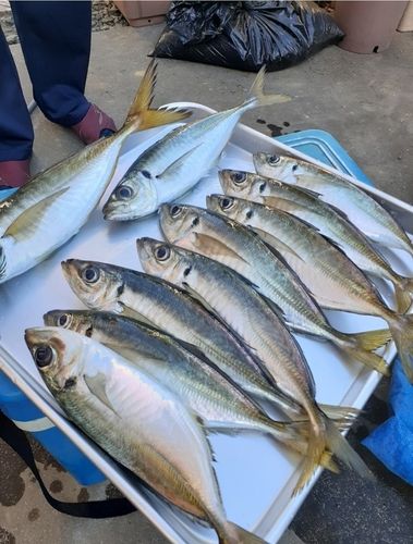 浦賀