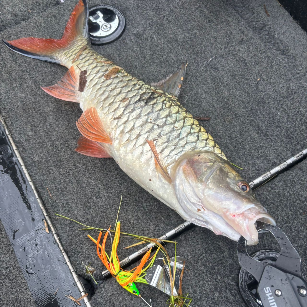 SHIMANO 19スコーピオン 1604SS-5の最安値・インプレ・釣果