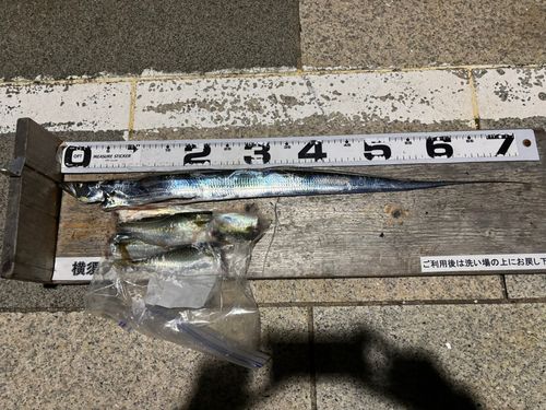 海辺つり公園