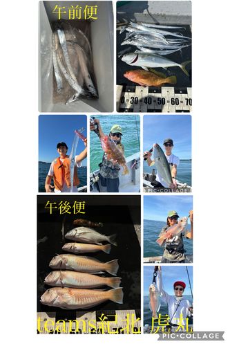 シロアマダイの釣果
