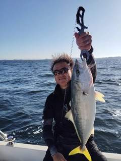 ワラサの釣果