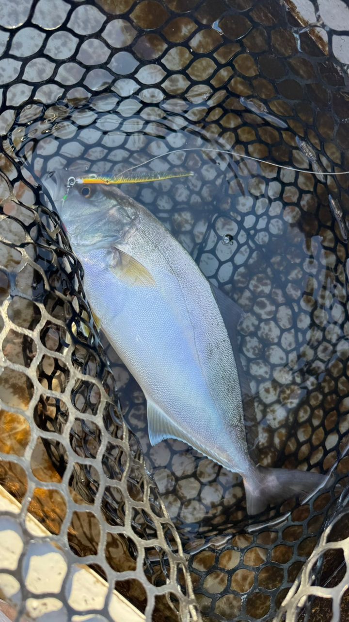 Takunixさんの釣果 2枚目の画像