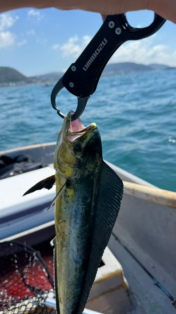 Takunixさんの釣果 3枚目の画像