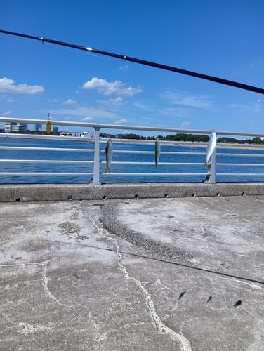 検見川浜突堤