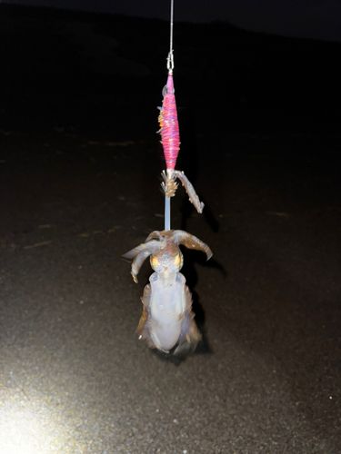 上下浜