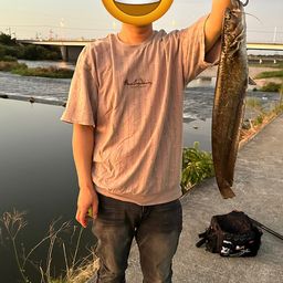 ニホンナマズ